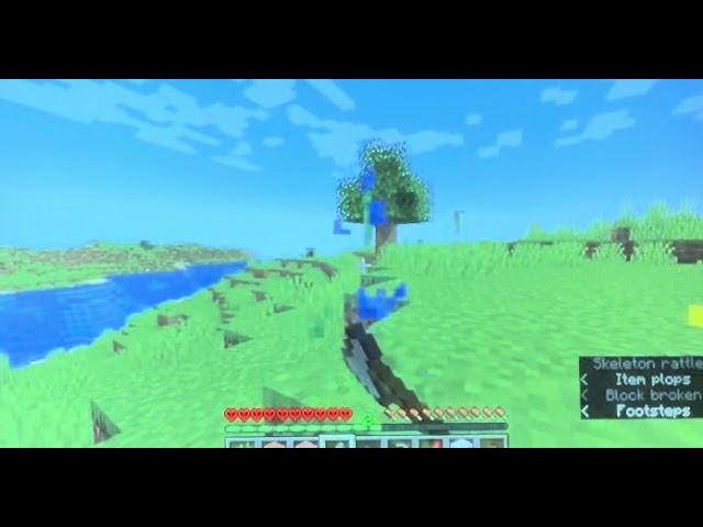 Minecraft Java hardcore!