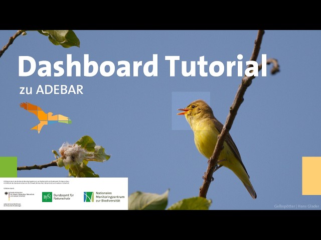 ADEBAR: Video-Tutorial zum Dashboard