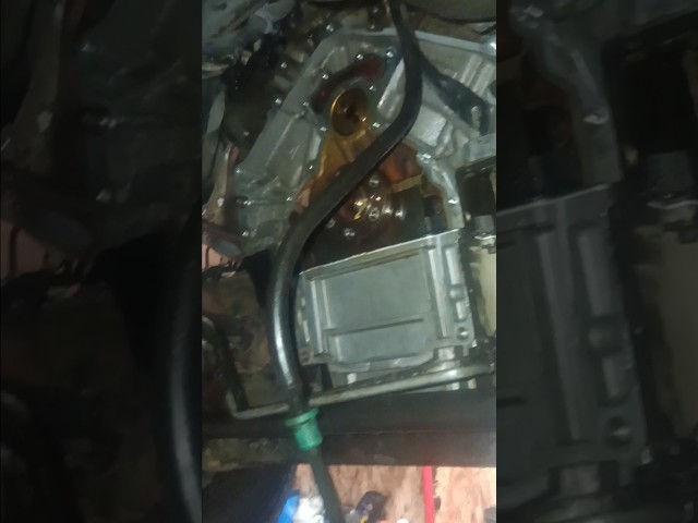 Rear main on an LS. Hate them or love them?