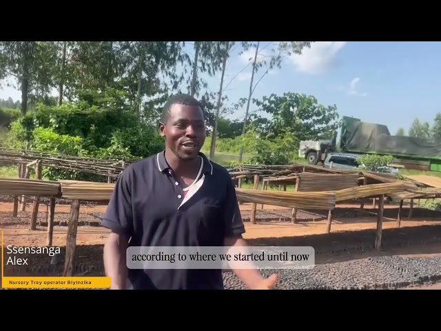 NAKASONGOLA GREEN DONATION