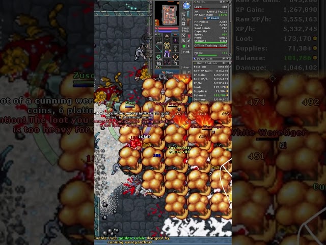 Tibia 400 MS Weretigers -2 ~ 3.6kk raw xp / h ~ 600k profit / h - Oskayaat