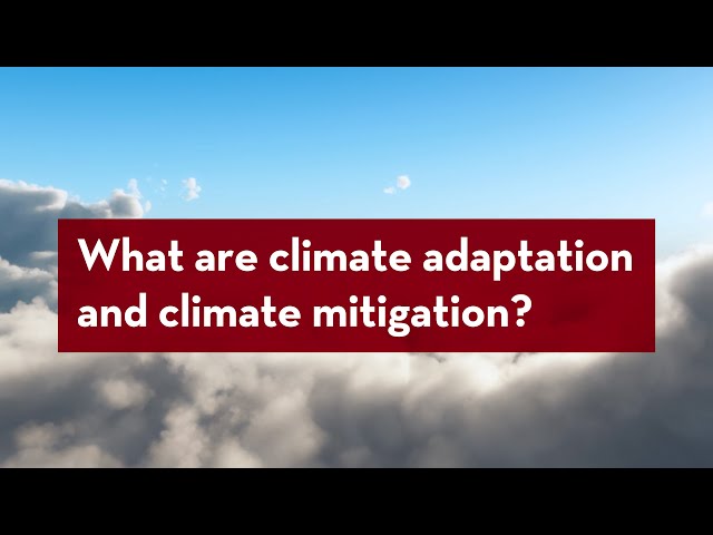 Understanding Climate Action: What are climate mitigation and adaptation?