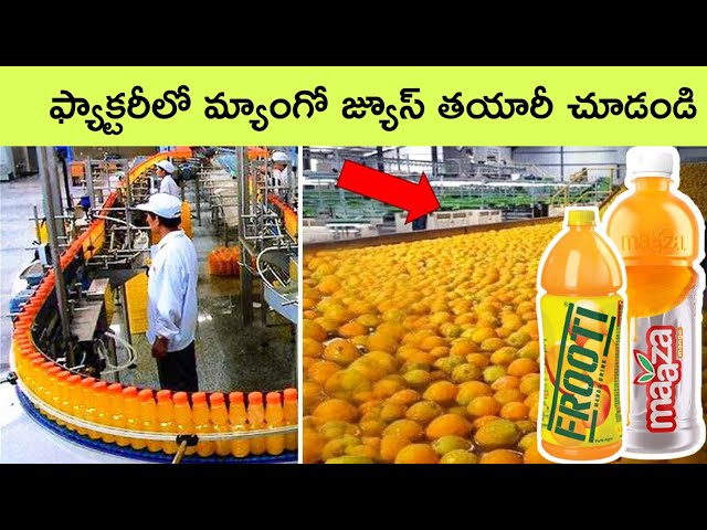 mango juice making in factory | See how these products are made in factory | frooti | maaza | bmc