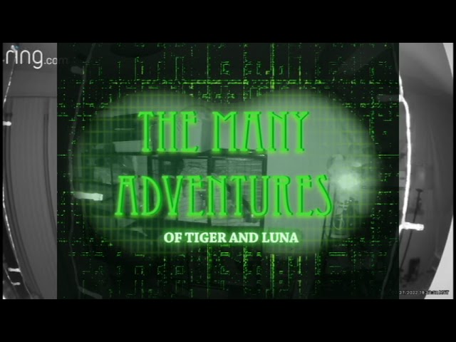 The Many Adventures of Tiger and Luna