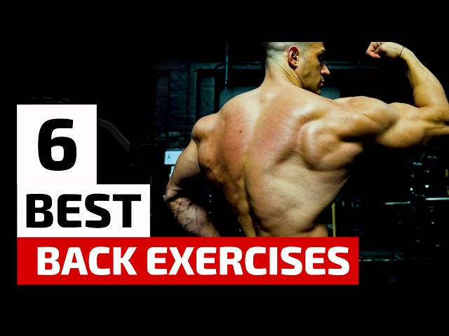 The Only Six Exercises You Need, for a Thick, Wide Back