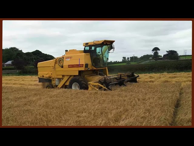 Combined Harvester cutting Barley