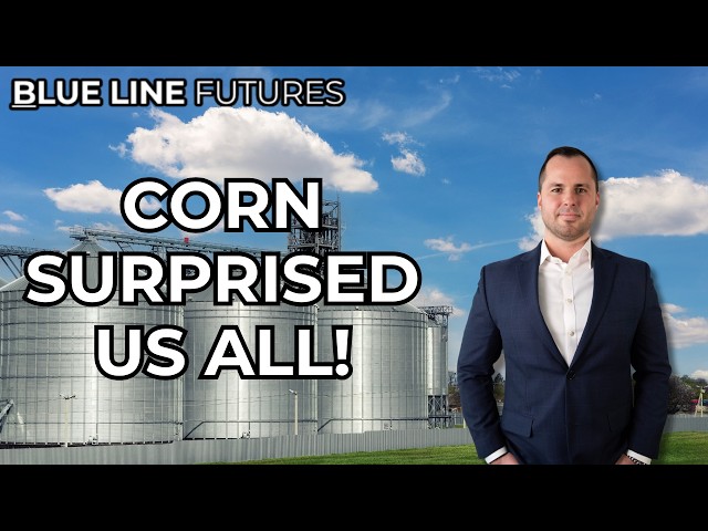 USDA Stocks Report Surprises Corn: Key Levels to Watch in Grains and Livestock | Oliver Sloup 9/30
