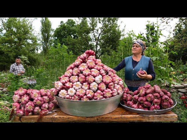Spring’s First Garlic Harvest | Rustic Eggplant and Beef Kebap