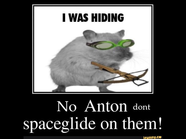 ashe L9 spaceglide