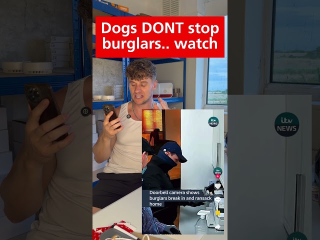 Dogs Vs. Burglars