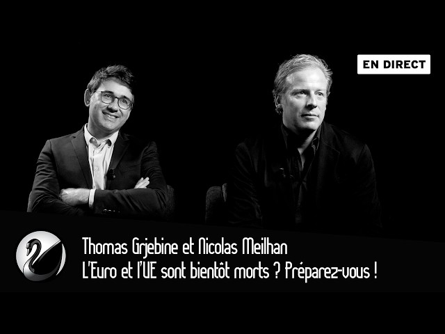 L'Euro et l’UE sont bientôt morts ? Préparez-vous ! Thomas Grjebine et Nicolas Meilhan [EN DIRECT]