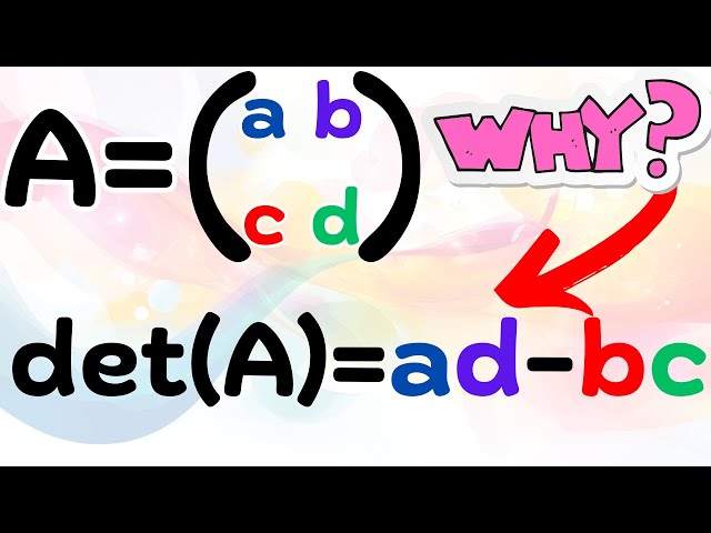 the why of the determinant