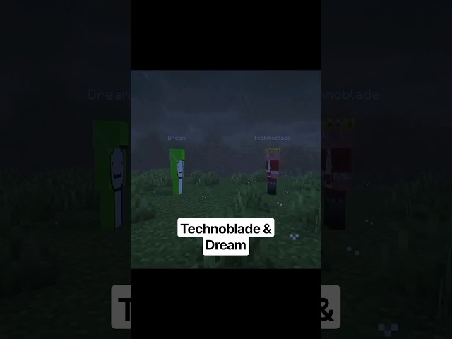 Technoblade never dies❤️‍🩹🫡