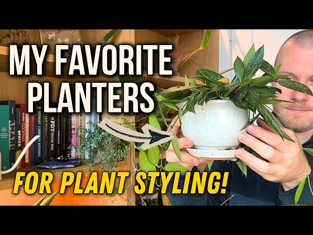 My Favorite Planters For Plant Styling (Specific Brands, Designs, And Shopping Tips!)