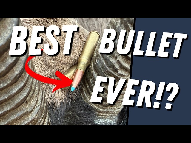 6 One-Shot Kills… Are These the Best Hunting Bullets Ever?