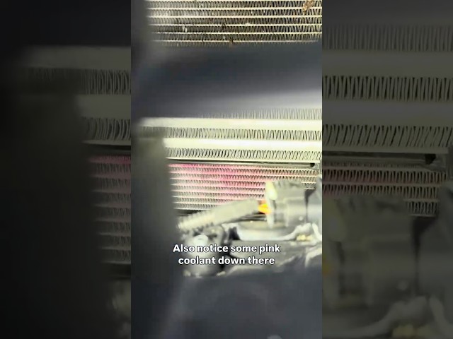 This Tiny Hole Cost an AMG GT Owner Thousands.