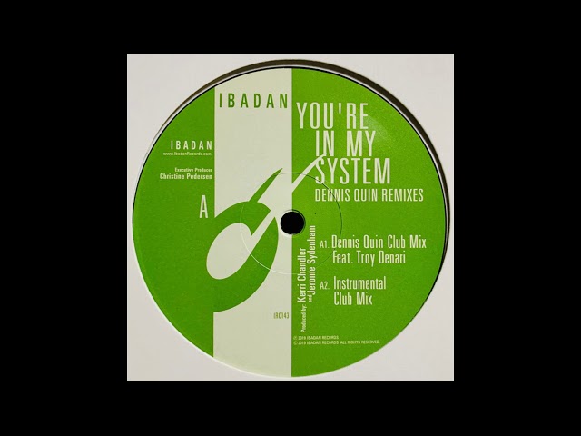 Kerri Chandler, Jerome Sydenham   You're In My System Dennis Quin Vocal Mix ft  Troy Denari    IRC14