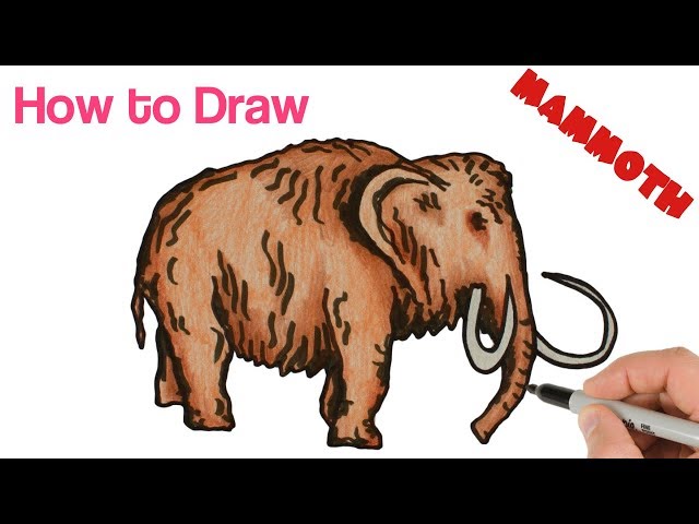 How to Draw a Mammoth | Easy Drawing and Coloring