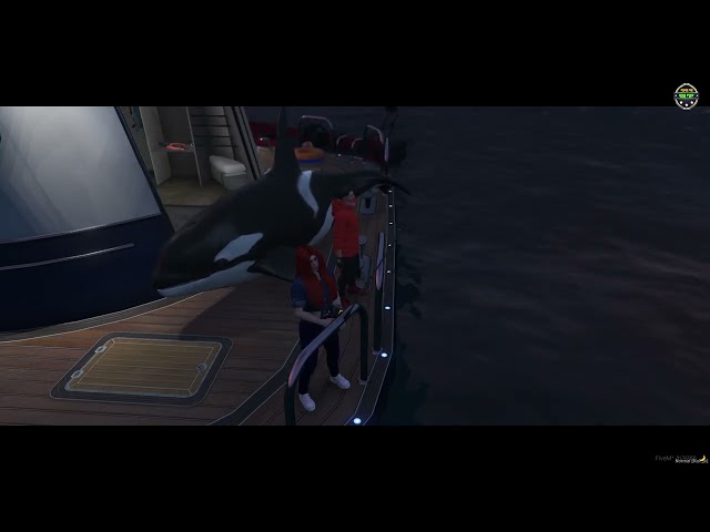 RP Memories #gtarpclips #gta #gta5 #roleplay #girlgamer