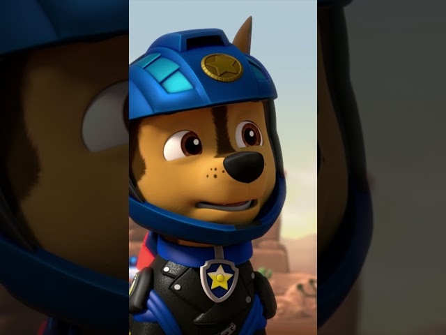 That Is One #BIG #Donut #PAWPatrolShorts