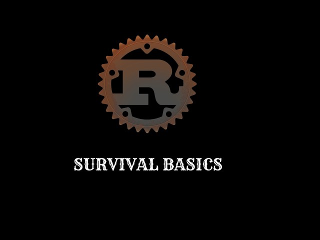 Rust in 40 minutes
