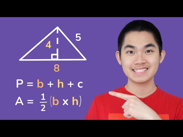 Find the Area and Perimeter of Right Triangles