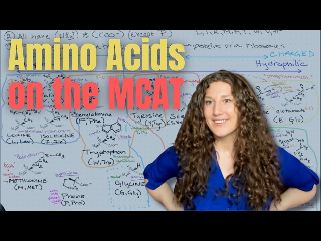 MCAT Biochemistry: The Ultimate Amino Acid Study Guide