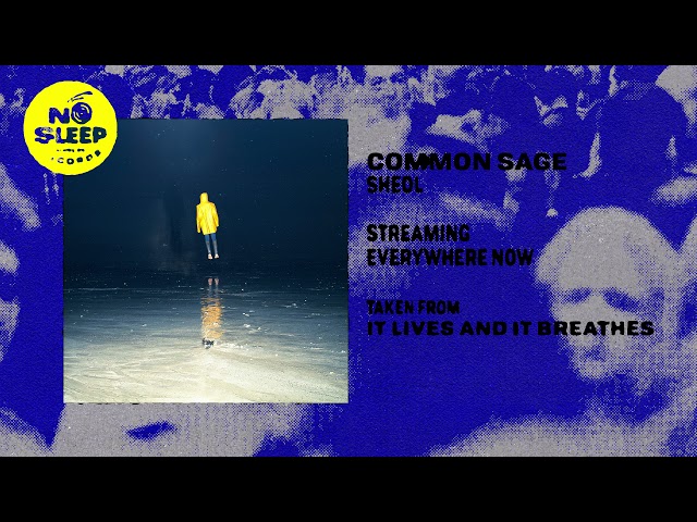 common sage - sheol