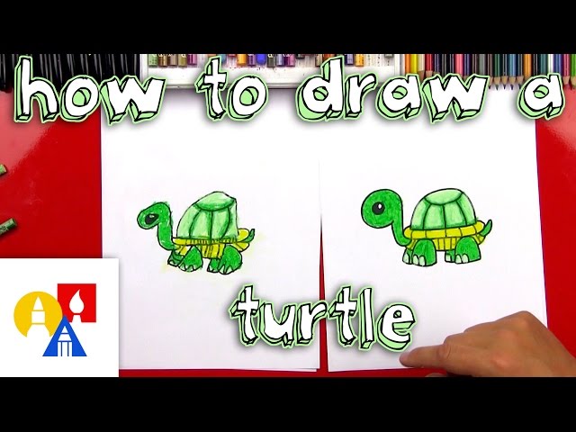 How To Draw A Cartoon Turtle