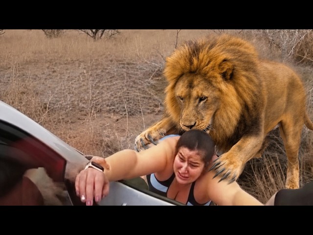 80 MOST TERRIFYING WILD ANIMAL ATTACKS Ever Caught on Camera