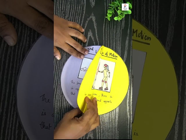 Newton's Laws Of Motion Working Model | Laws of Motion working model project | The4PillarsAcademy