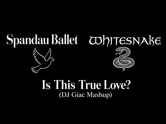 Spandau Ballet x Whitesnake - Is This True Love? (DJ Giac Mashup) 
