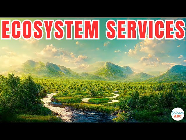 What Are Ecosystem Services?