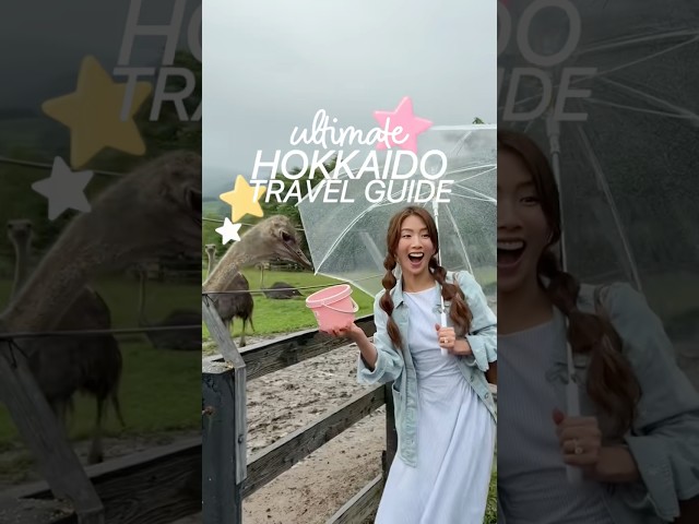 Things you’ll actually want to do in Hokkaido: summer travel guide!! ⭐️