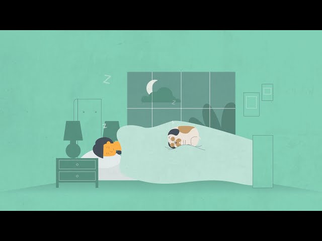 A Different Way to Pay for Healthcare - CrowdHealth