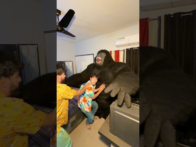 Subscribe For Gorilla😱 #funny #comedy #viral #trending #gorilla #subscribe