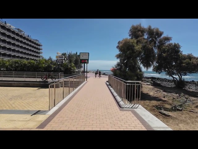 Around the Faro...