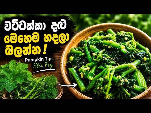 වට්ටක්කා දළු මෙච්චර රසද? 🌿 | Pumpkin Tips Stir Fry