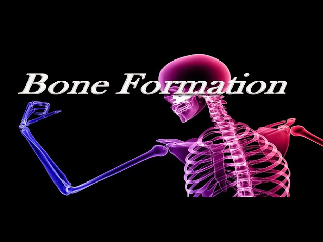 Bone Formation in tamil