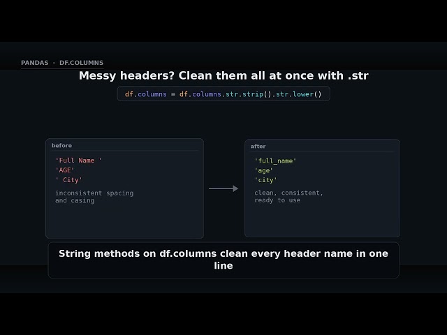 df.columns — column names