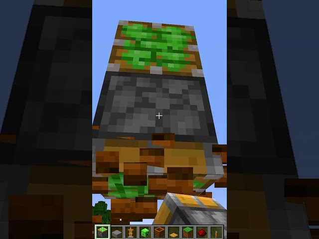 Minecraft Meme