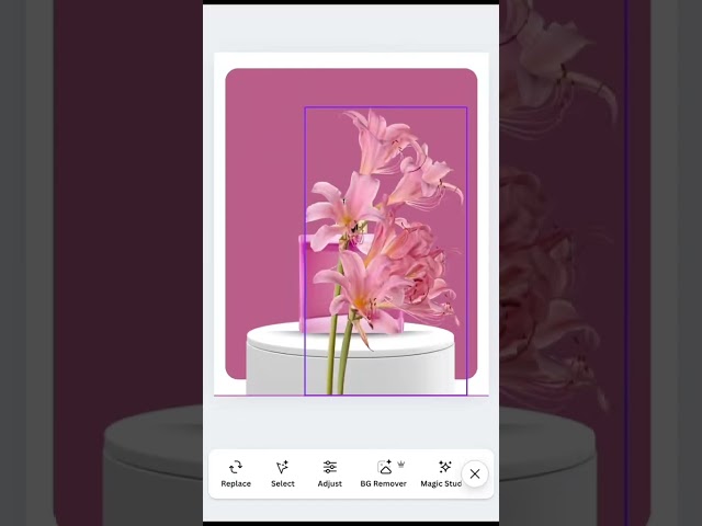Canva tutorial for small businesses