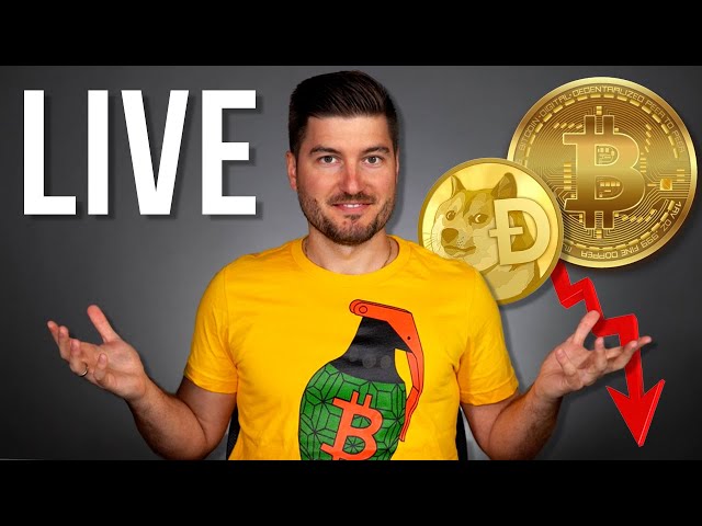 The Crypto Market CRASH | WHAT YOU NEED TO KNOW