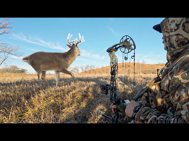 Can We Beat Him There?! Running Down my Biggest Buck Ever