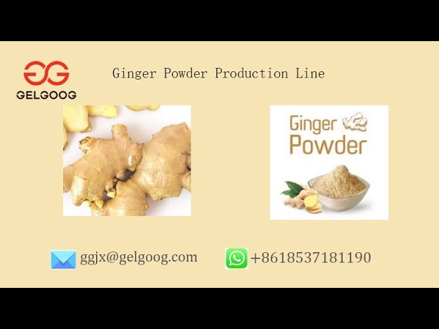 GELGOOG Ginger Powder Production Line Powdered Ginger Processing Plant