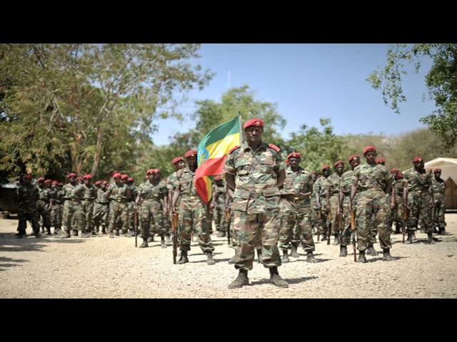 Tigray Defense Forces