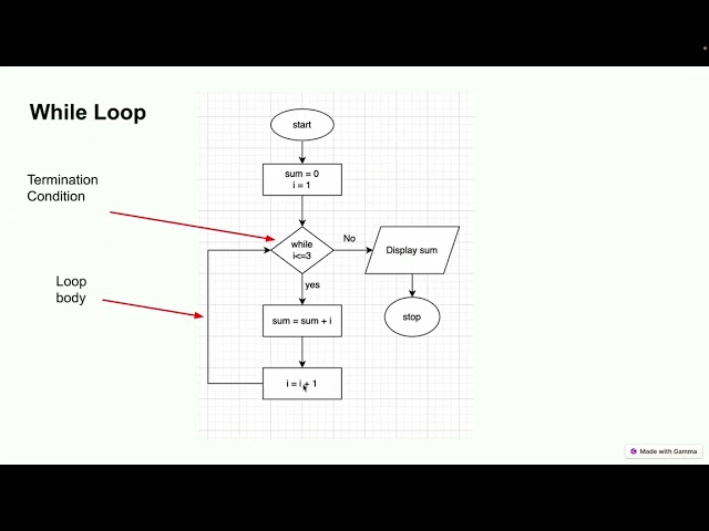 Introduction to While Loops in C++ | Lecture 2