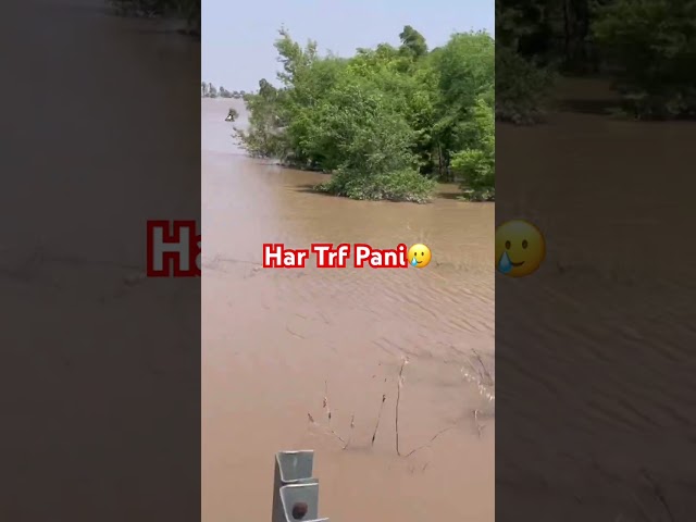 Pani hi Pani har trf