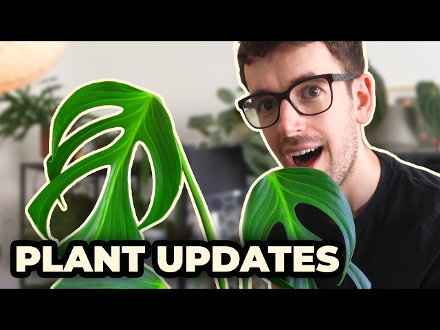 My Plants are THRIVING... Well Most of Them