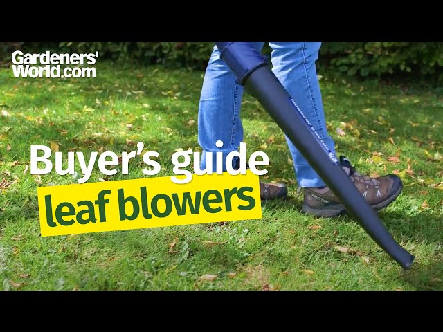 Budget leaf blowers - Buyer's Guide